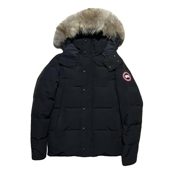 Canada Goose